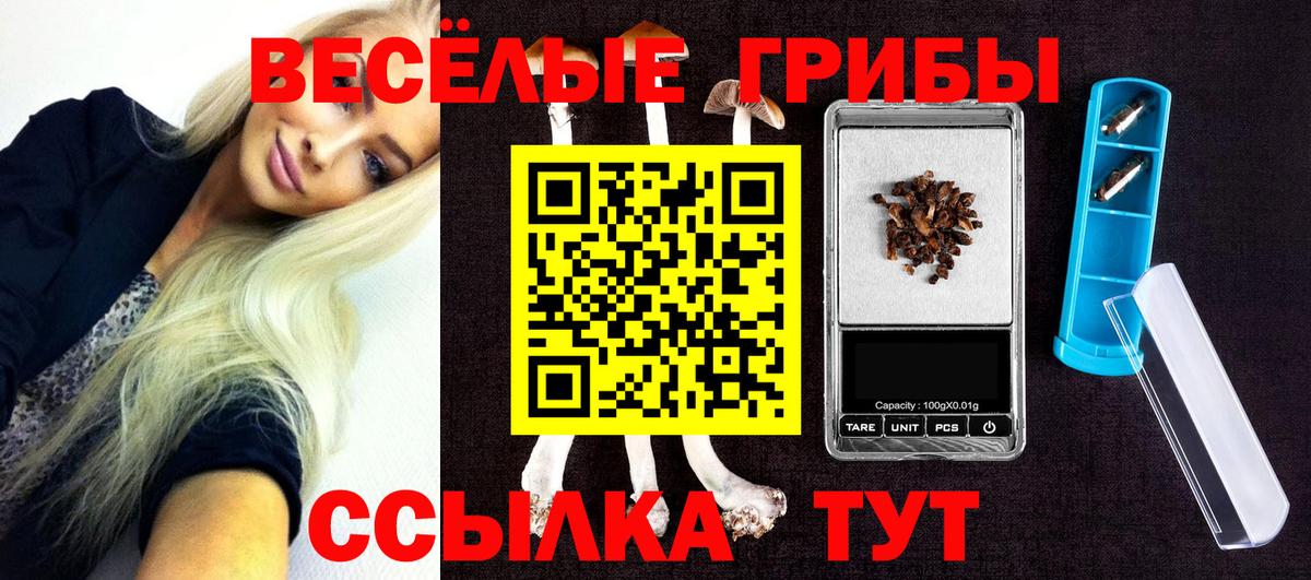 Мыски  Псилоцибиновые грибы Psilocybine cubensis  Вход с VPN 