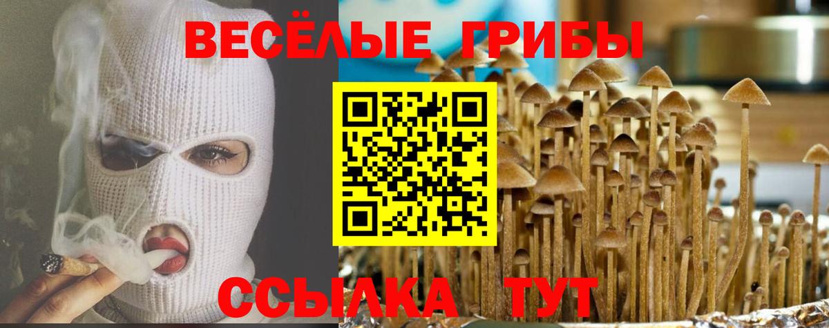 Псилоцибиновые грибы прущие грибы Мыски