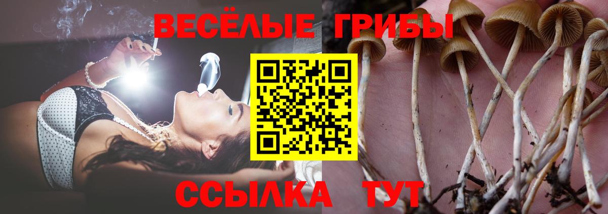 Мефедрон   МАРИХУАНА  Вход с VPN  Мыски  Гашиш  Кокаин  МДМА 